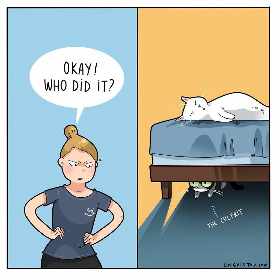 Comics That Those With A Cat Will Understand Perfectly (86 New Pics)