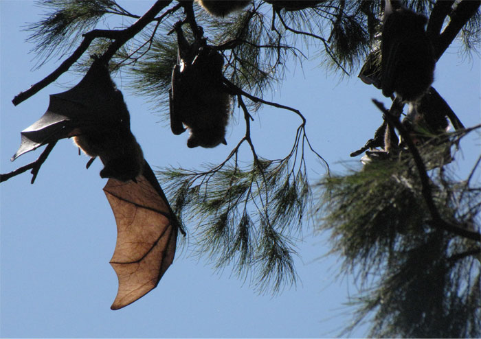 30 Incredibly Bizarre Things People Saw Happen Yet Others Refuse To Believe They Did