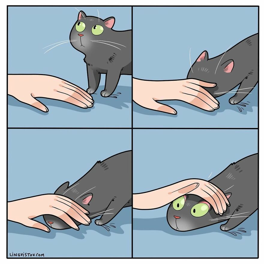 Comics That Those With A Cat Will Understand Perfectly (86 New Pics)