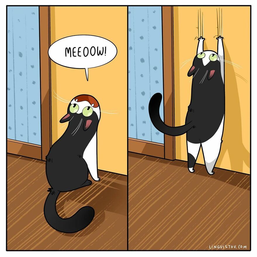 Comics That Those With A Cat Will Understand Perfectly (86 New Pics)