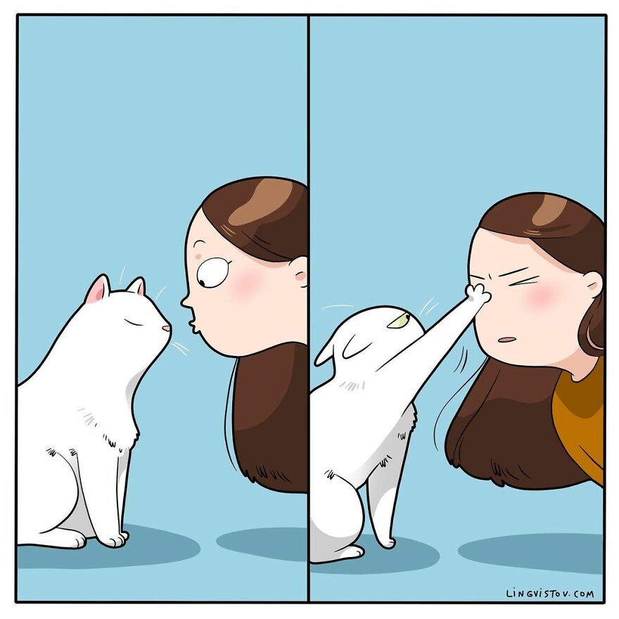 Comics That Those With A Cat Will Understand Perfectly (86 New Pics)