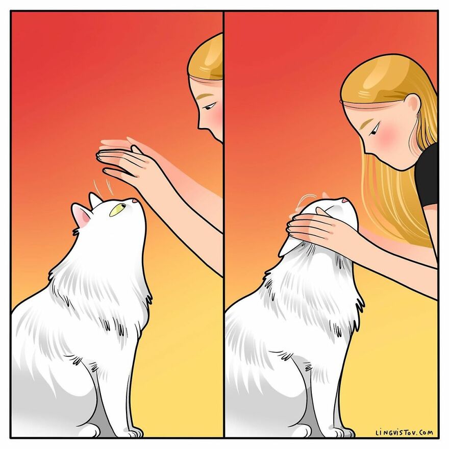 Comics That Those With A Cat Will Understand Perfectly (86 New Pics)