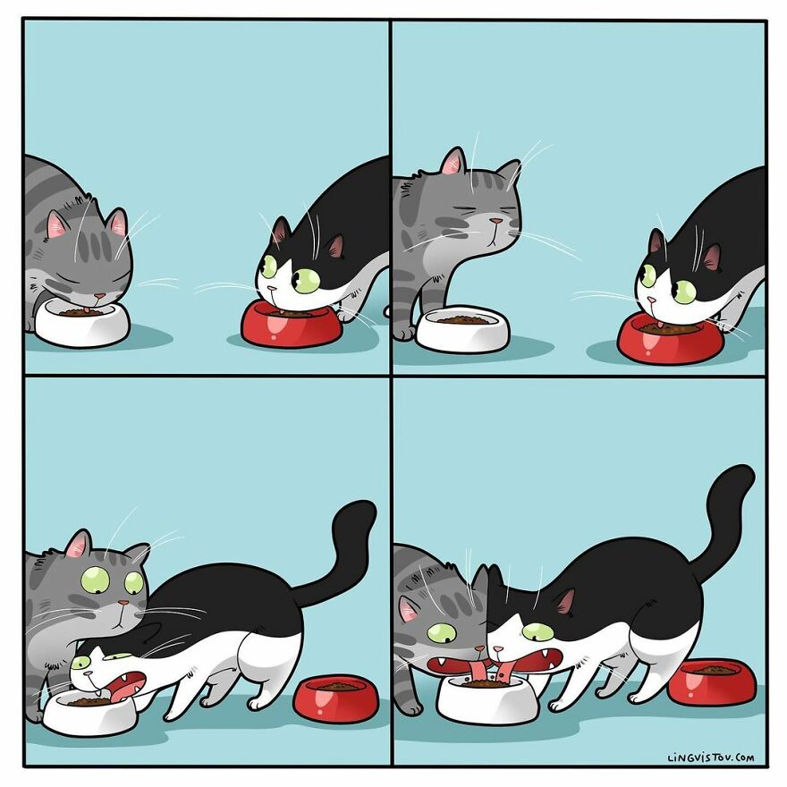 Comics That Those With A Cat Will Understand Perfectly (86 New Pics)