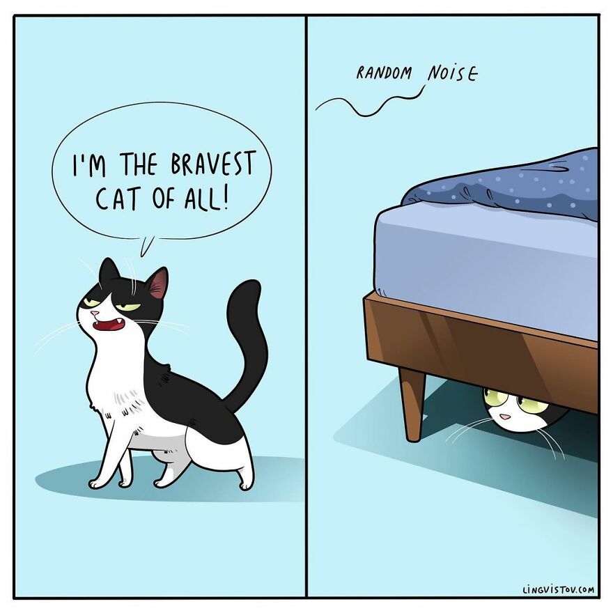 Comics That Those With A Cat Will Understand Perfectly (86 New Pics)