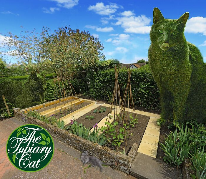 The 75-Year-Old Artist Has Been Creating Giant And Surreal Bushes In Honor Of The Deceased Cat For 5 Years (73 Pics)-Interview