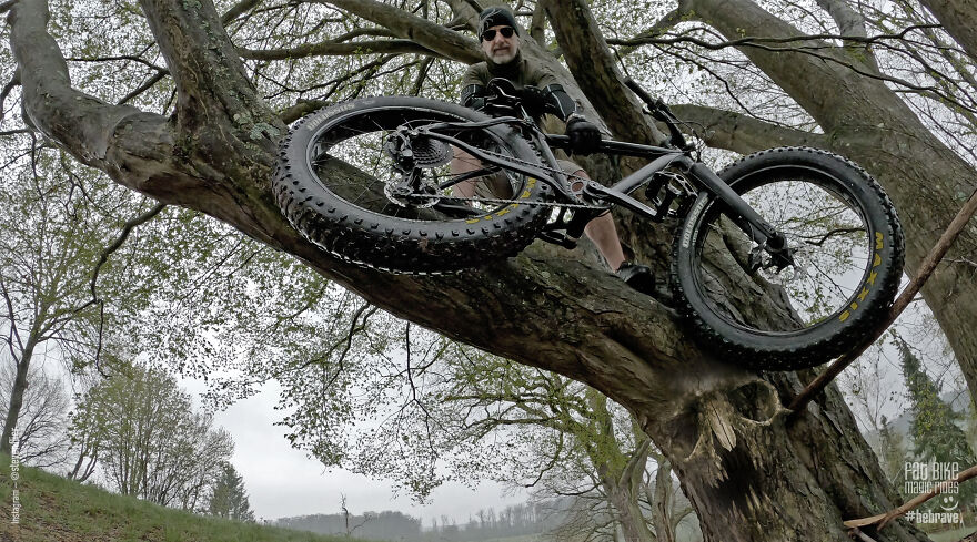 My Magic Fat Bike Rides Or I Can See Dragons Fly … My Magic Fat Bike Rides Or I Can See Dragons Fly …