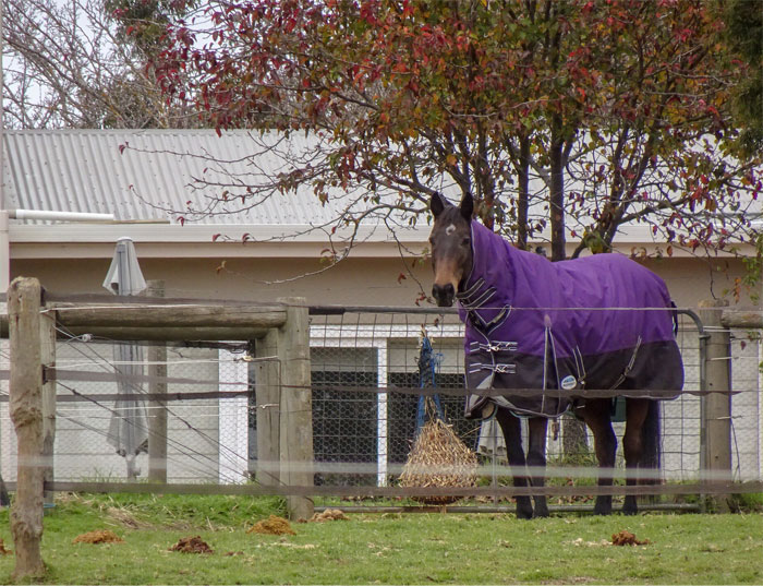 30 Incredibly Bizarre Things People Saw Happen Yet Others Refuse To Believe They Did