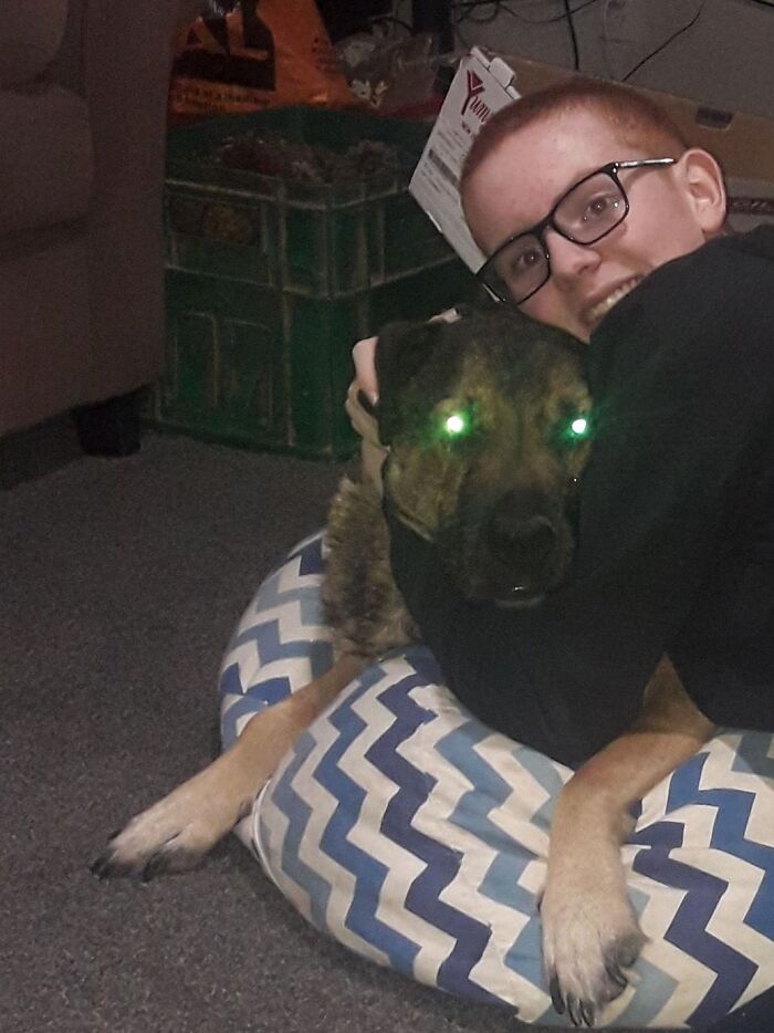 My Family Used To Have A Dog Named Murphy He Had To Be Put Down In The End Of 2020 