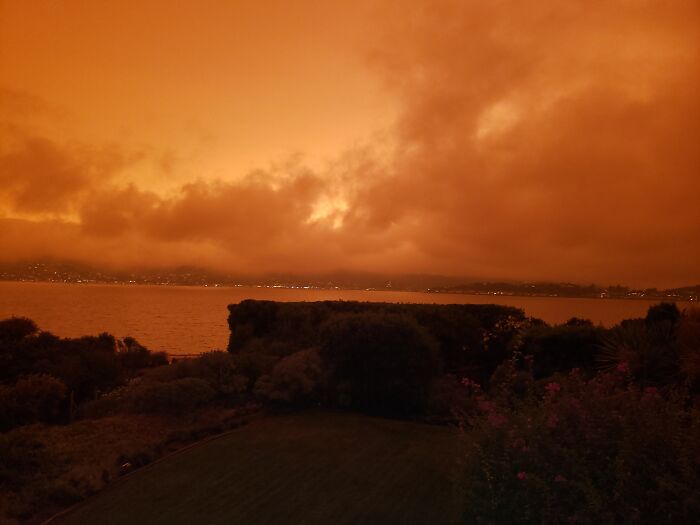 9/9/20-The Skies In Marin Count, Ca Due To The Smoke From Fires Running Into A Fog Bank, Caused A Weird Inversion...we Never Saw The Sun All Day. Spooky And Apocalyptic