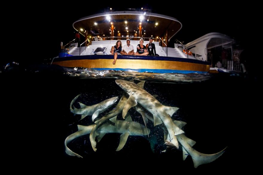 What Lurks Below, Journeys & Adventures