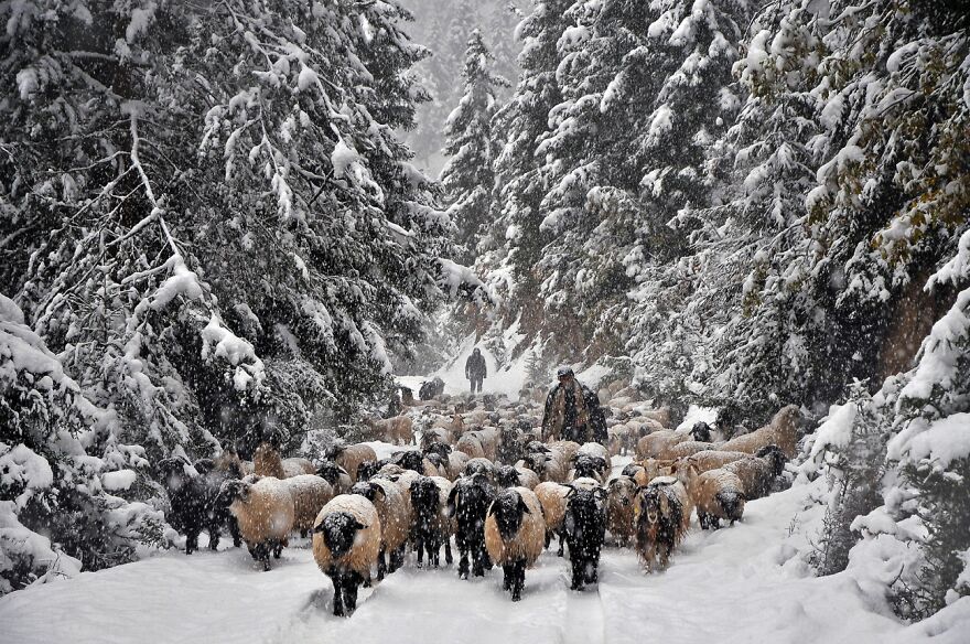 Return To The Village, Journeys & Adventures