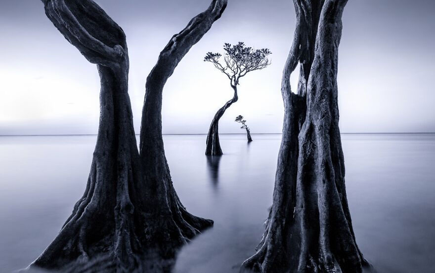 Praying Parents, The Beauty Of Nature