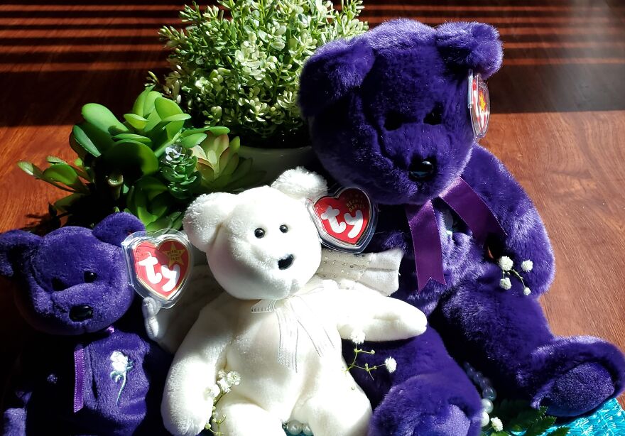 I Bought Beanie Babies That Had Been Sealed Away For 20 Years! 37 Mystery Boxes! I Bought Beanie Babies That Had Been Sealed Away For 20 Years! 37 Mystery Boxes!