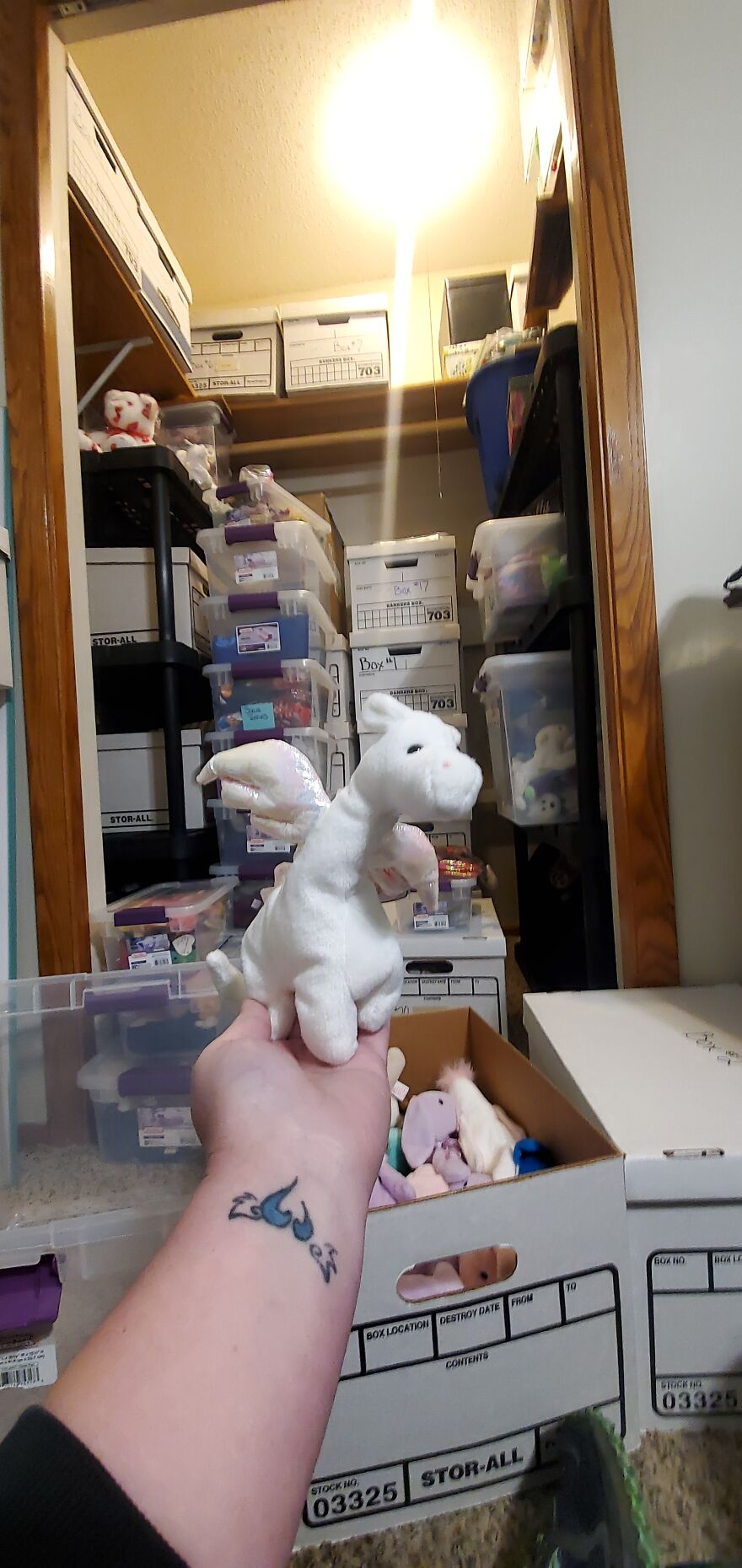 I Bought Beanie Babies That Had Been Sealed Away For 20 Years! 37 Mystery Boxes! I Bought Beanie Babies That Had Been Sealed Away For 20 Years! 37 Mystery Boxes!