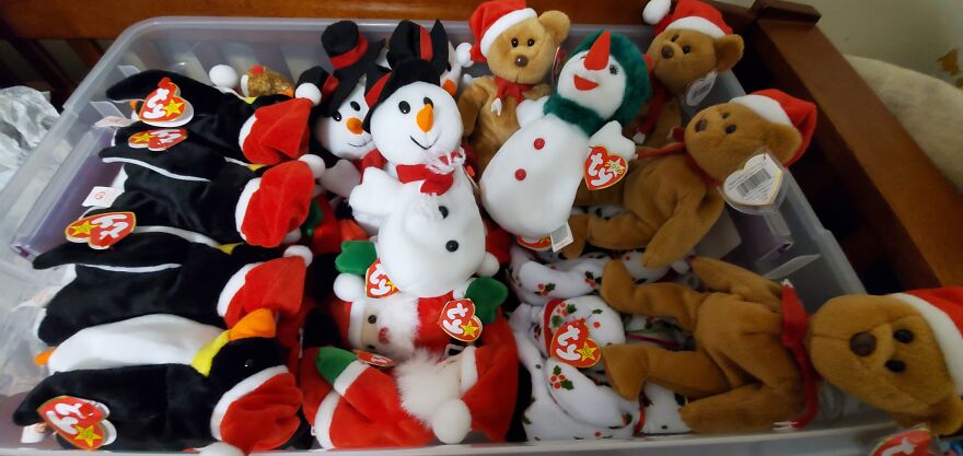 I Bought Beanie Babies That Had Been Sealed Away For 20 Years! 37 Mystery Boxes! I Bought Beanie Babies That Had Been Sealed Away For 20 Years! 37 Mystery Boxes!
