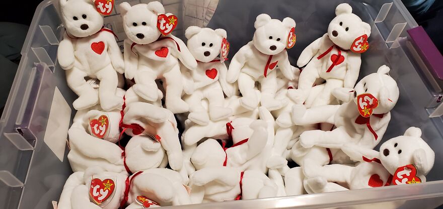 I Bought Beanie Babies That Had Been Sealed Away For 20 Years! 37 Mystery Boxes! I Bought Beanie Babies That Had Been Sealed Away For 20 Years! 37 Mystery Boxes!