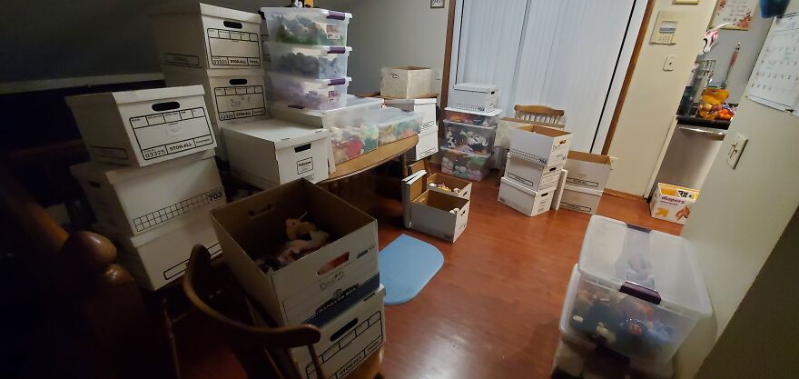 I Bought Beanie Babies That Had Been Sealed Away For 20 Years! 37 Mystery Boxes! I Bought Beanie Babies That Had Been Sealed Away For 20 Years! 37 Mystery Boxes!