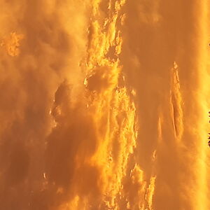 skylarleferink avatar