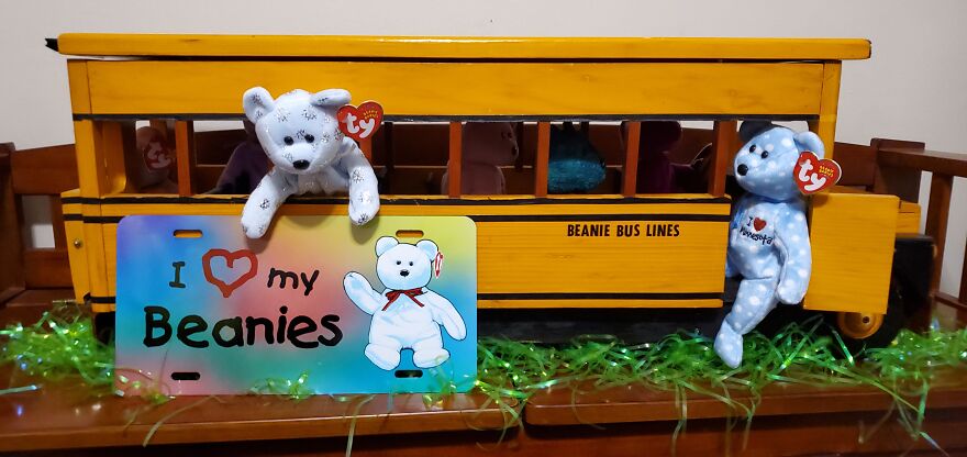 I Bought Beanie Babies That Had Been Sealed Away For 20 Years! 37 Mystery Boxes! I Bought Beanie Babies That Had Been Sealed Away For 20 Years! 37 Mystery Boxes!