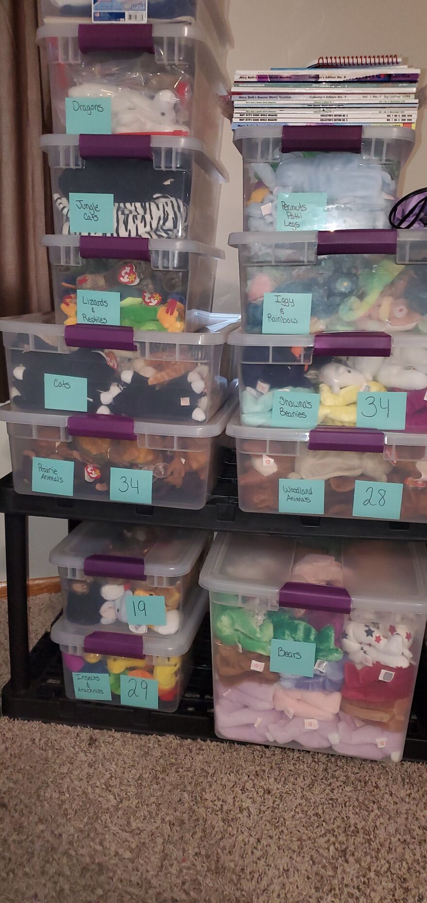 I Bought Beanie Babies That Had Been Sealed Away For 20 Years! 37 Mystery Boxes! I Bought Beanie Babies That Had Been Sealed Away For 20 Years! 37 Mystery Boxes!