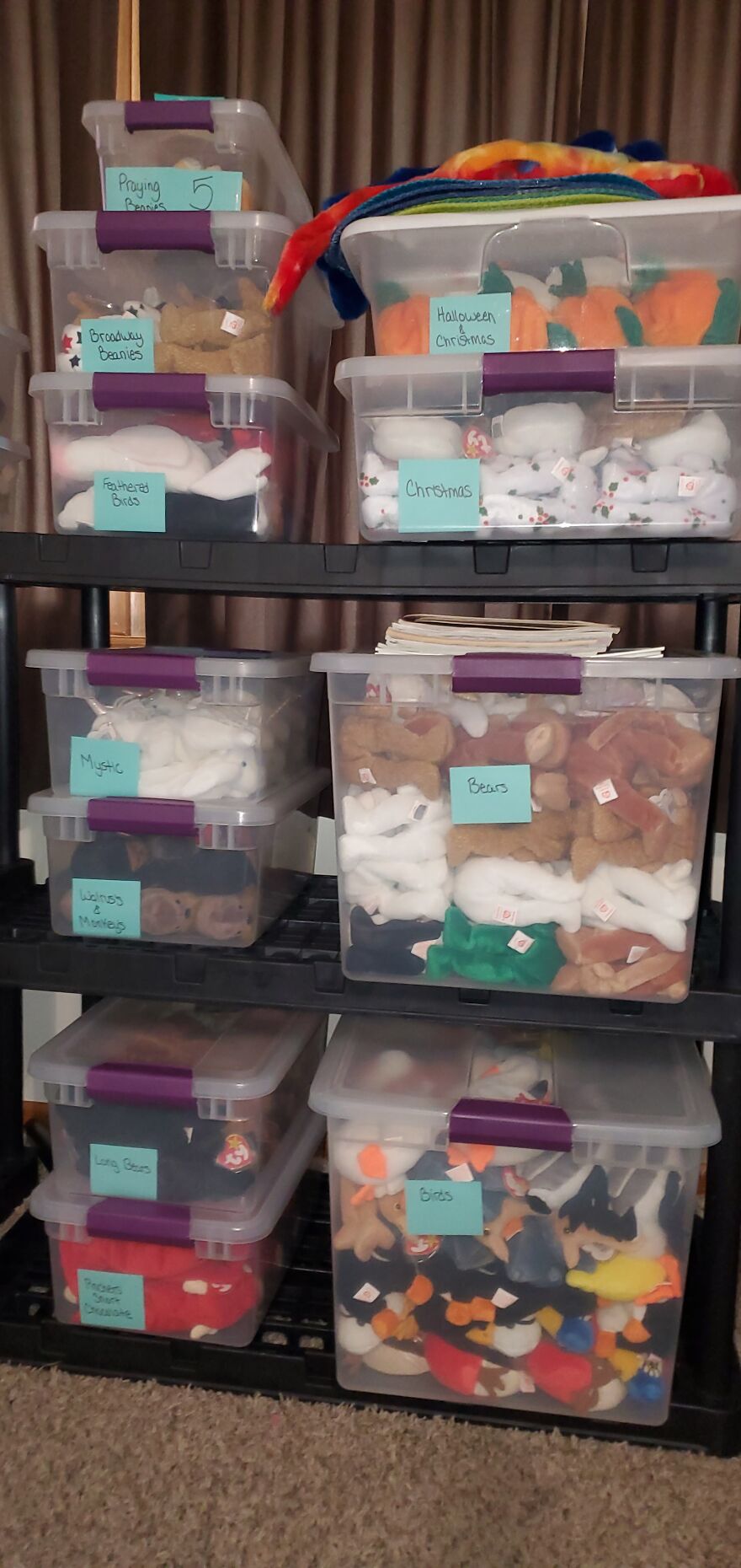 I Bought Beanie Babies That Had Been Sealed Away For 20 Years! 37 Mystery Boxes! I Bought Beanie Babies That Had Been Sealed Away For 20 Years! 37 Mystery Boxes!