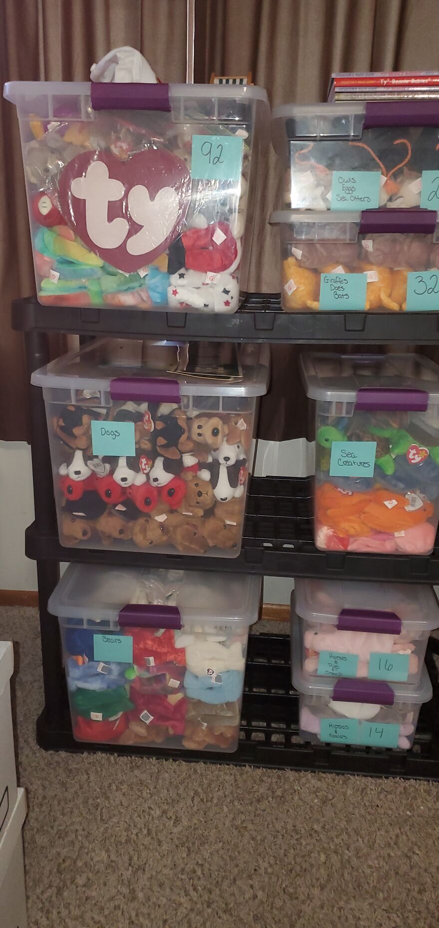 I Bought Beanie Babies That Had Been Sealed Away For 20 Years! 37 Mystery Boxes! I Bought Beanie Babies That Had Been Sealed Away For 20 Years! 37 Mystery Boxes!