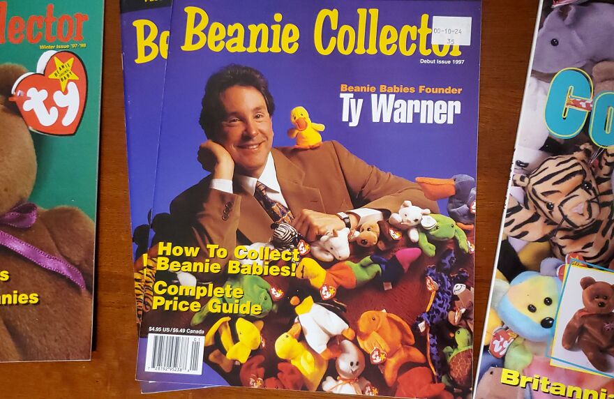I Bought Beanie Babies That Had Been Sealed Away For 20 Years! 37 Mystery Boxes! I Bought Beanie Babies That Had Been Sealed Away For 20 Years! 37 Mystery Boxes!