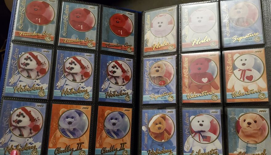 I Bought Beanie Babies That Had Been Sealed Away For 20 Years! 37 Mystery Boxes! I Bought Beanie Babies That Had Been Sealed Away For 20 Years! 37 Mystery Boxes!