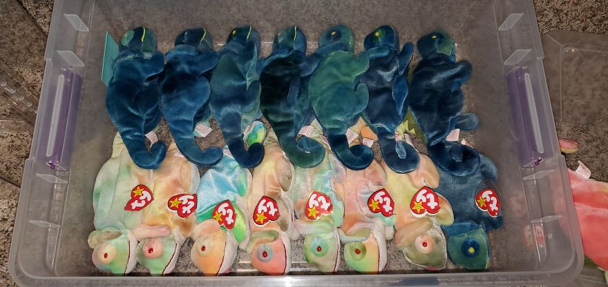 I Bought Beanie Babies That Had Been Sealed Away For 20 Years! 37 Mystery Boxes! I Bought Beanie Babies That Had Been Sealed Away For 20 Years! 37 Mystery Boxes!