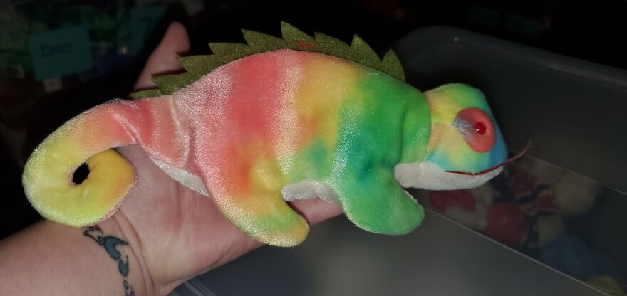 I Bought Beanie Babies That Had Been Sealed Away For 20 Years! 37 Mystery Boxes! I Bought Beanie Babies That Had Been Sealed Away For 20 Years! 37 Mystery Boxes!