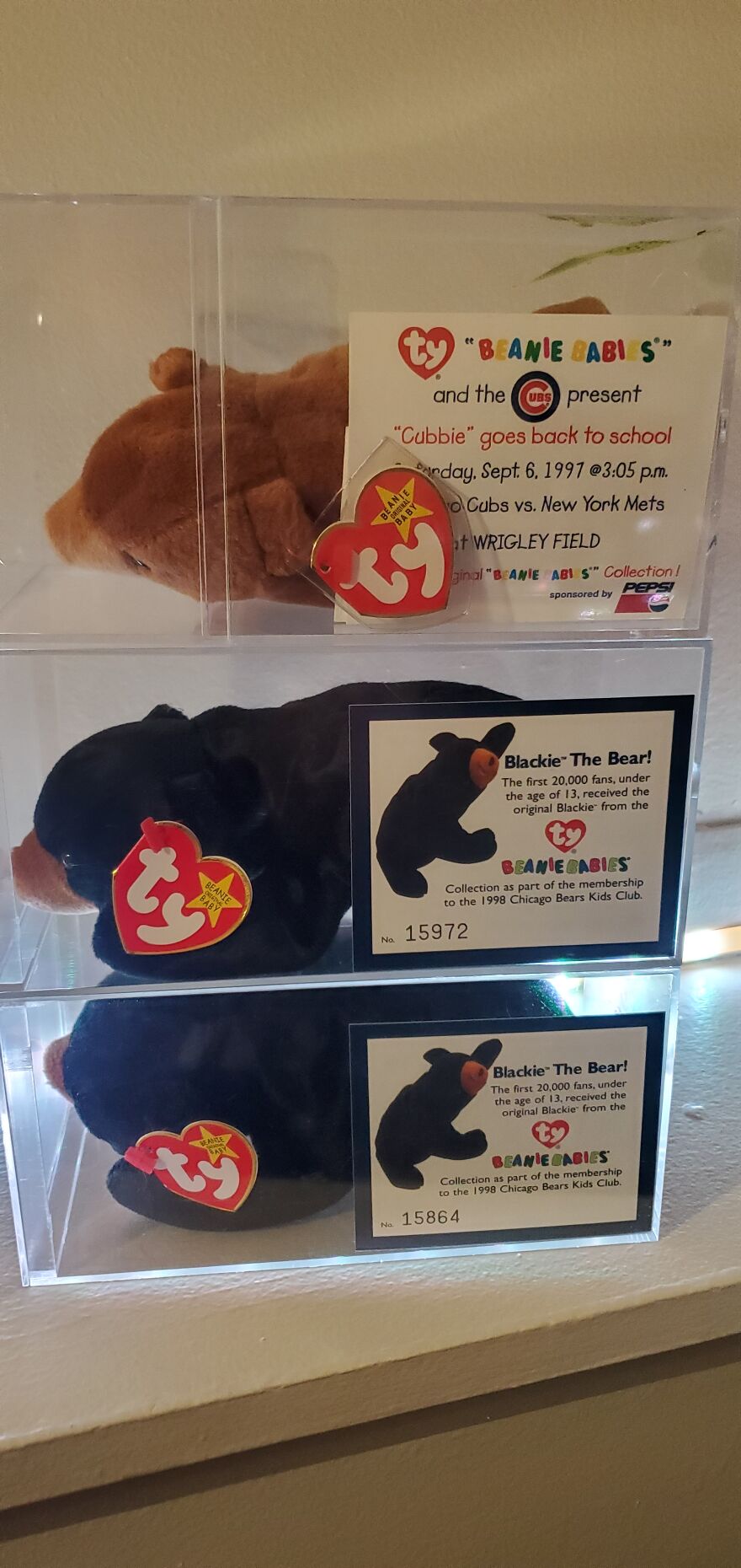 I Bought Beanie Babies That Had Been Sealed Away For 20 Years! 37 Mystery Boxes! I Bought Beanie Babies That Had Been Sealed Away For 20 Years! 37 Mystery Boxes!