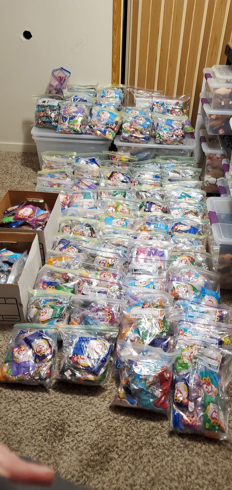 I Bought Beanie Babies That Had Been Sealed Away For 20 Years! 37 Mystery Boxes! I Bought Beanie Babies That Had Been Sealed Away For 20 Years! 37 Mystery Boxes!