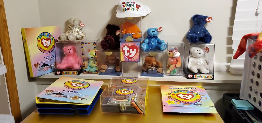 I Bought Beanie Babies That Had Been Sealed Away For 20 Years! 37 Mystery Boxes! I Bought Beanie Babies That Had Been Sealed Away For 20 Years! 37 Mystery Boxes!