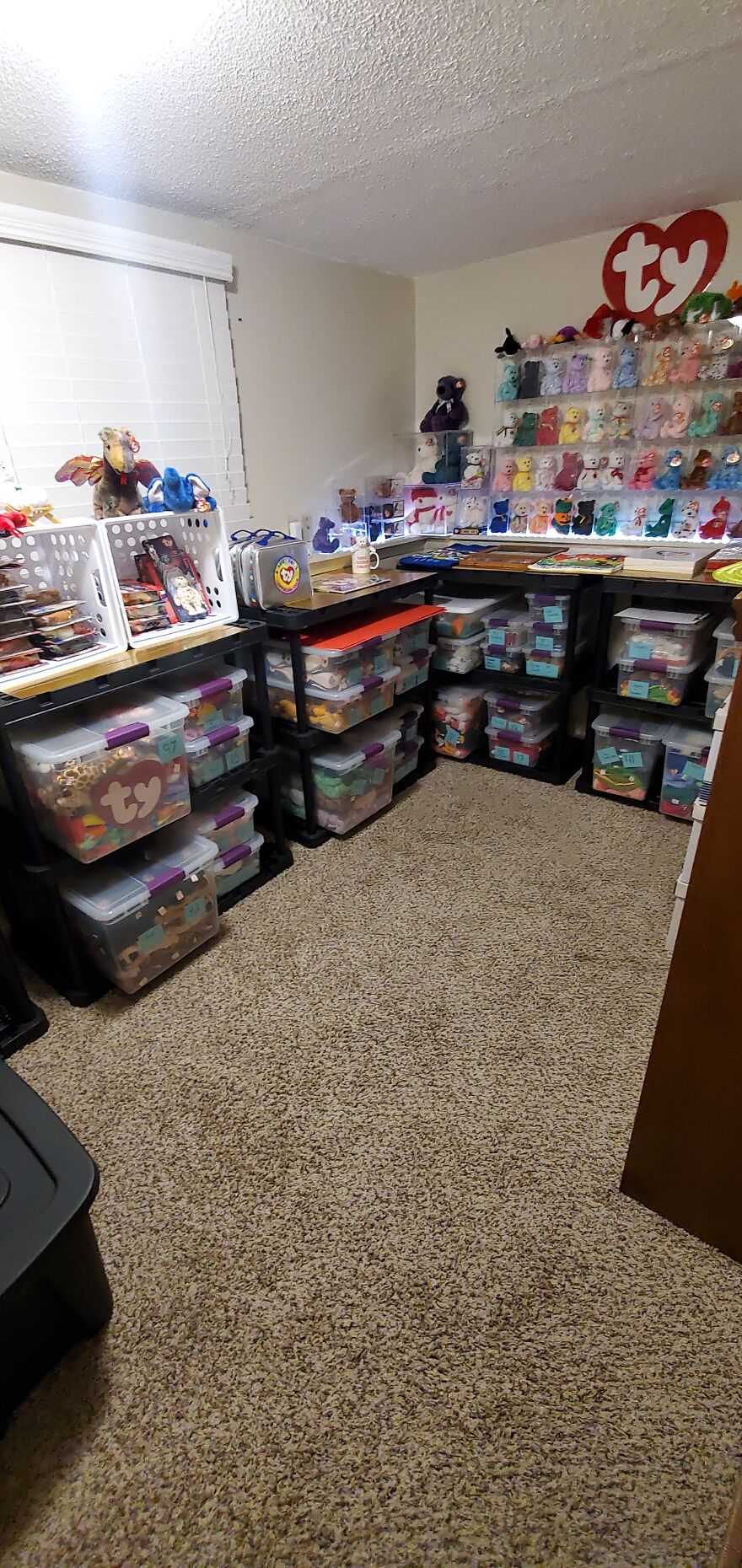 I Bought Beanie Babies That Had Been Sealed Away For 20 Years! 37 Mystery Boxes! I Bought Beanie Babies That Had Been Sealed Away For 20 Years! 37 Mystery Boxes!