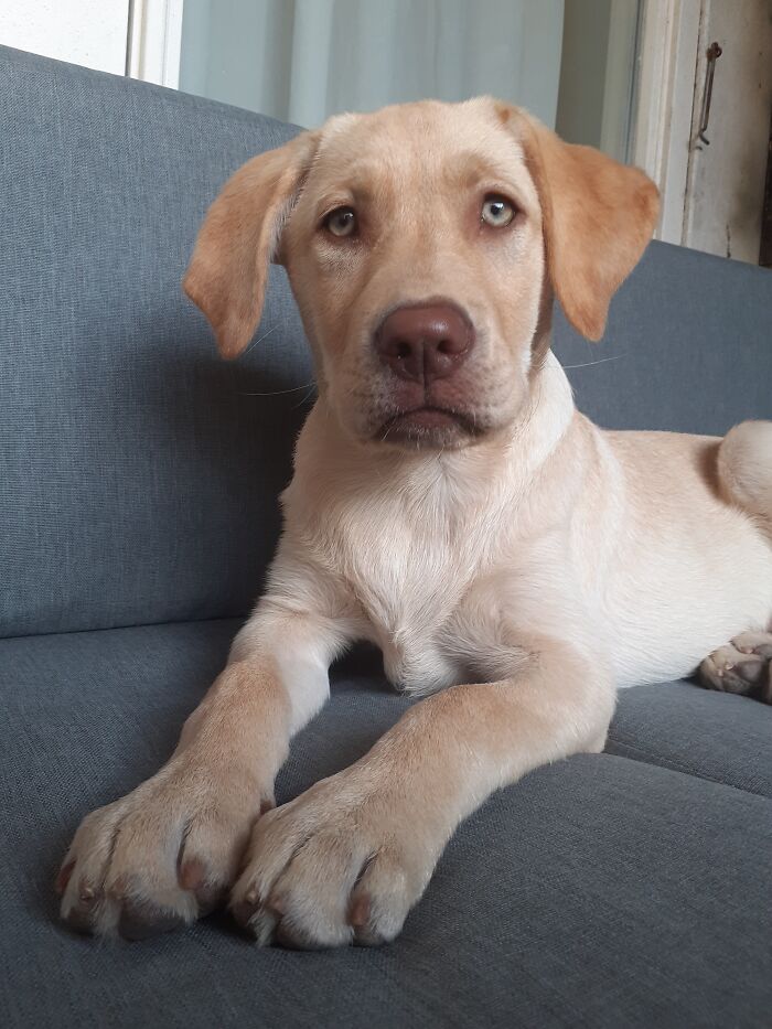 My Youngest Girl, Sam