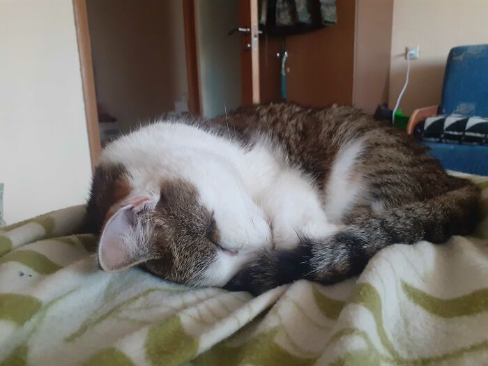 Not The Funniest, But One Of The More Entertaining Ones As Of Late. She Looks Like A Baby Alien To Me