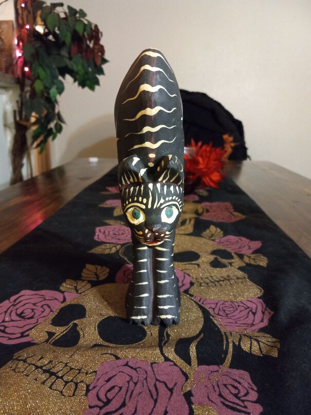 Adopted A Cat In Need Today