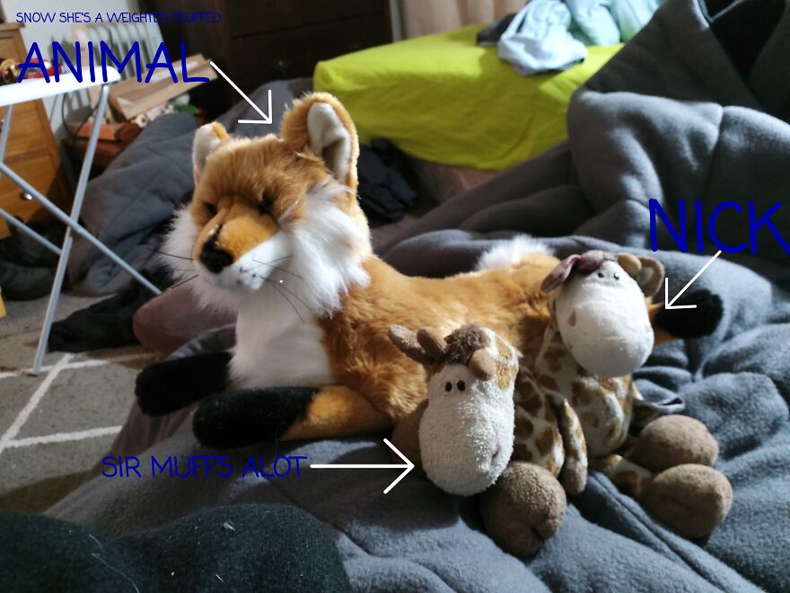 Please Post A Picture Of Your Stuffed Animal