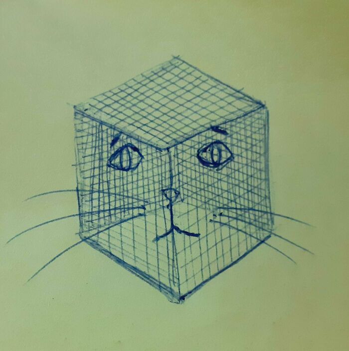 Let's Stop Caging Them