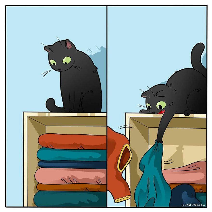 Comics That Those With A Cat Will Understand Perfectly (86 New Pics)