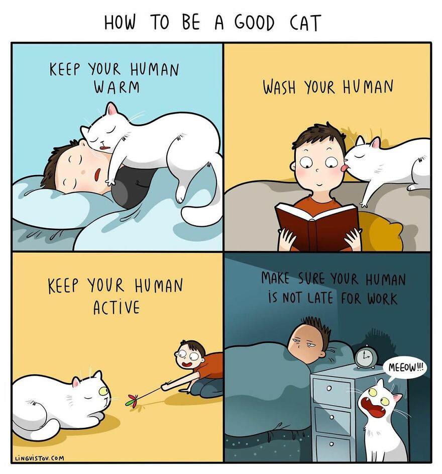 Comics That Those With A Cat Will Understand Perfectly (86 New Pics)