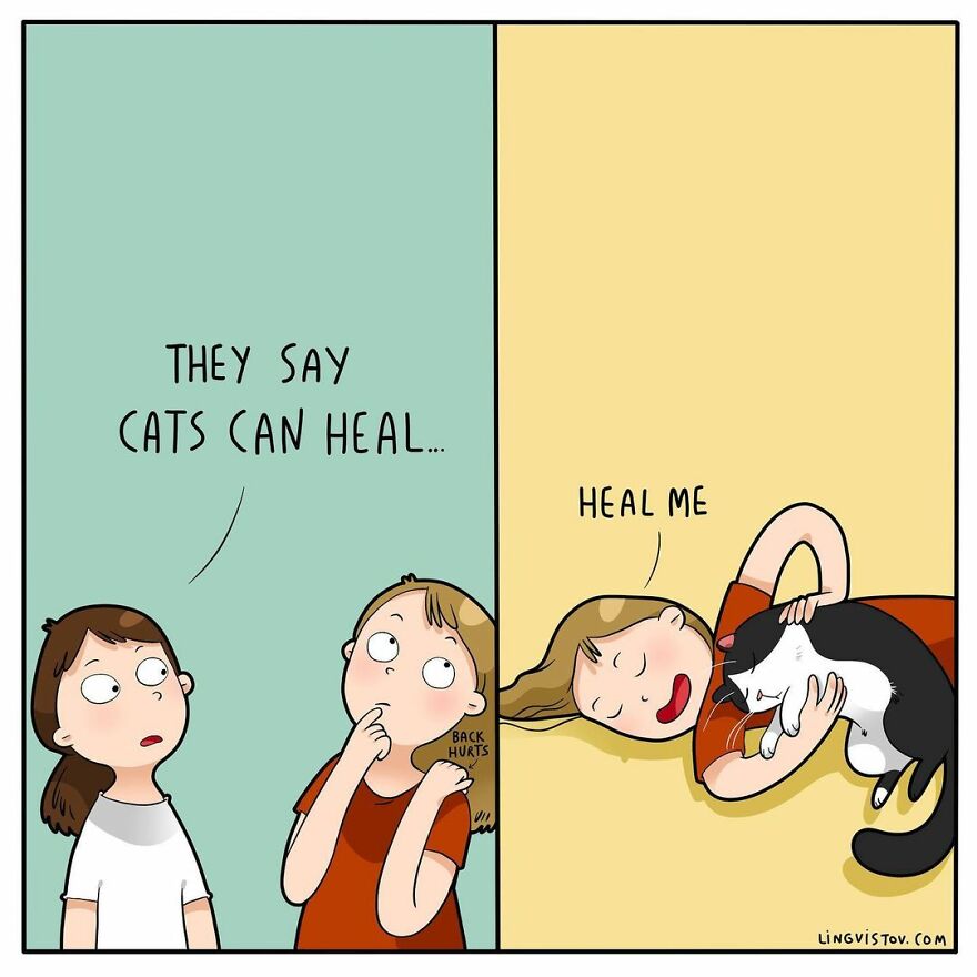 Comics That Those With A Cat Will Understand Perfectly (86 New Pics)