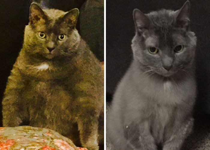 De gordito a delgado: el régimen de ejercicio de Gary fue… tener el agua y la comida en diferentes pisos de la casa