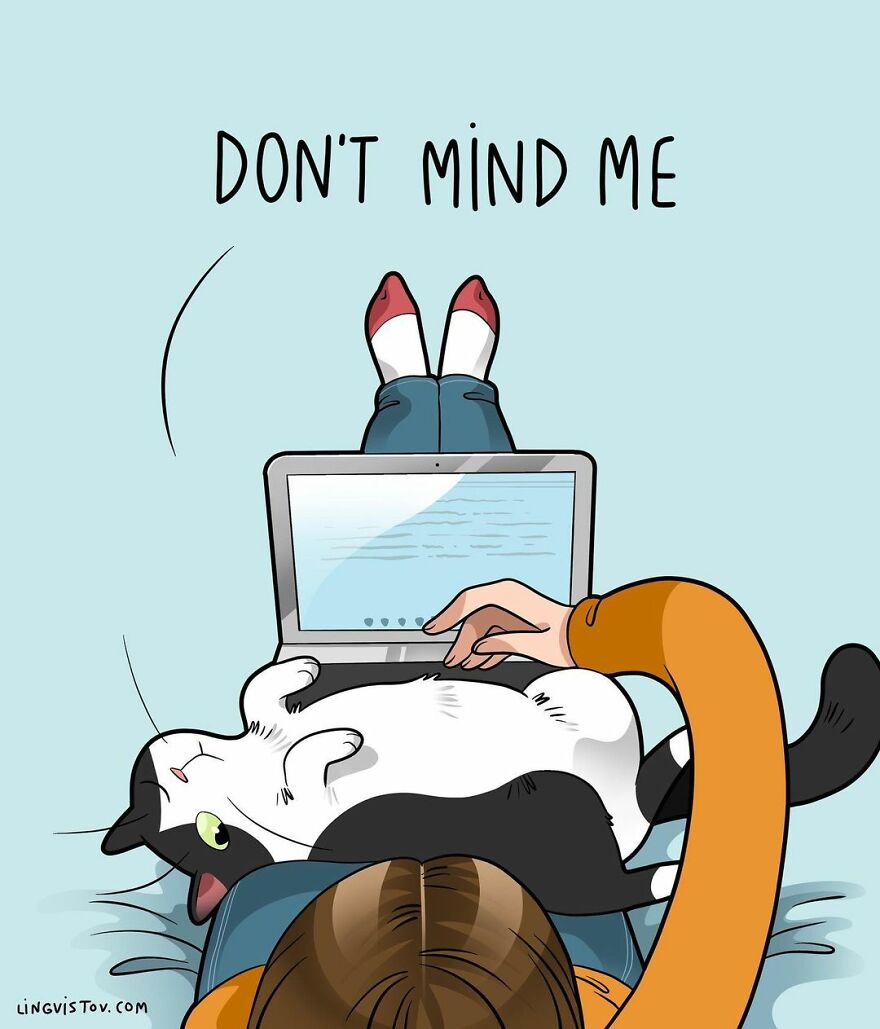 Comics That Those With A Cat Will Understand Perfectly (86 New Pics)
