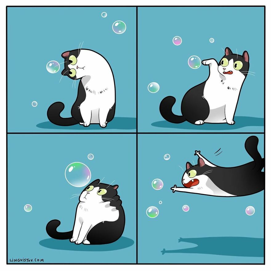 Comics That Those With A Cat Will Understand Perfectly (86 New Pics)