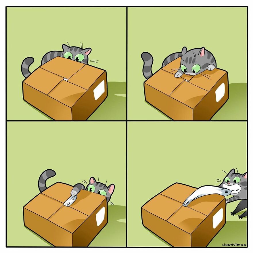 Comics That Those With A Cat Will Understand Perfectly (86 New Pics)