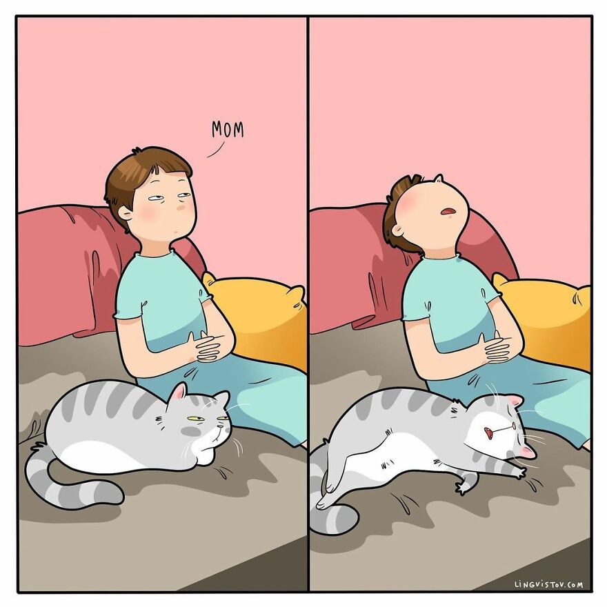 Comics That Those With A Cat Will Understand Perfectly (86 New Pics)