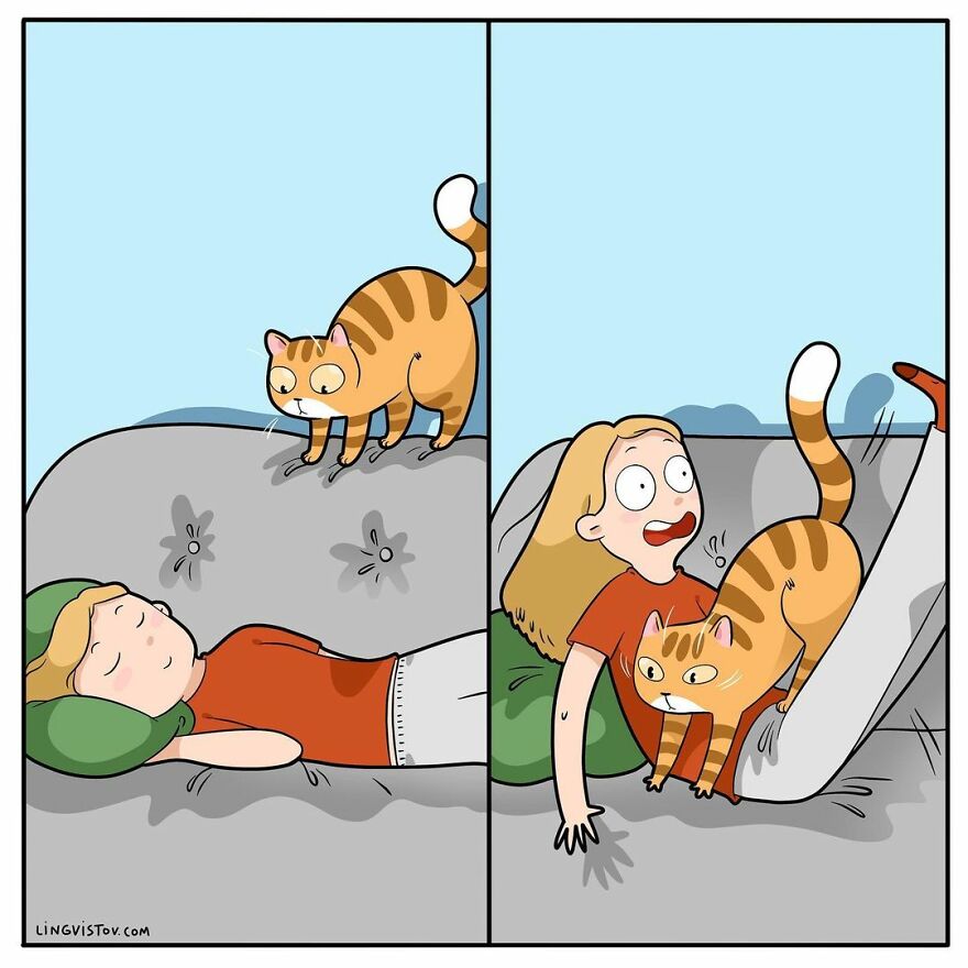 Comics That Those With A Cat Will Understand Perfectly (86 New Pics)