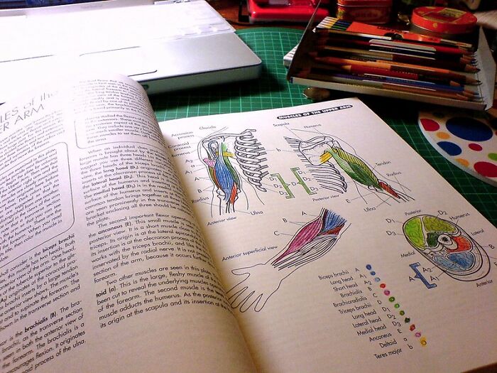 16 Datos que suenan demasiado locos para ser verdad