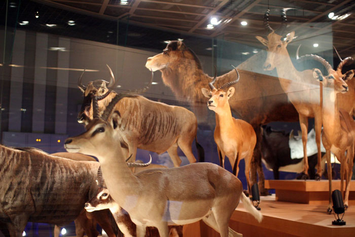 30 Things Taught In School That Raise The Question “What Was The Point?” As Shared By People In This Online Group